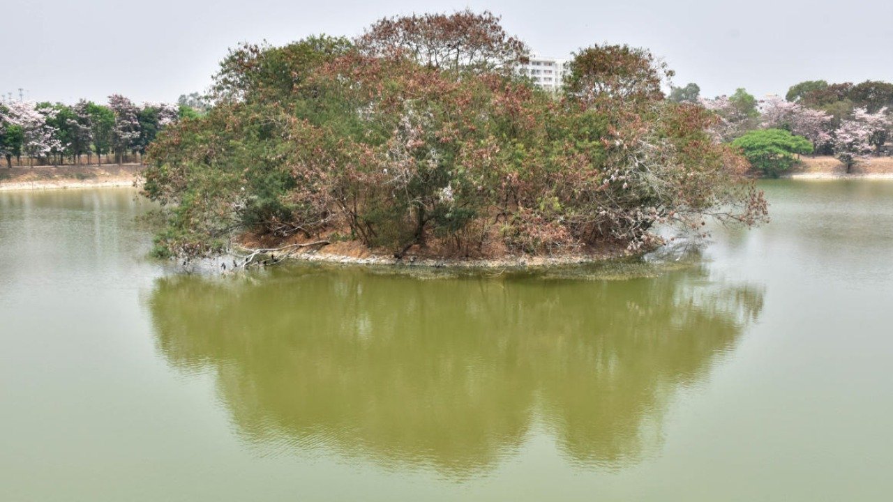 Presupuesto de Karnataka: el renacimiento del lago es un gran aporte para el sector de la ecología