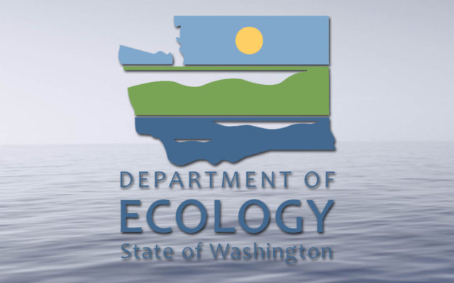 El Departamento de Ecología acepta comentarios del público sobre la potencial energía solar y eólica marina